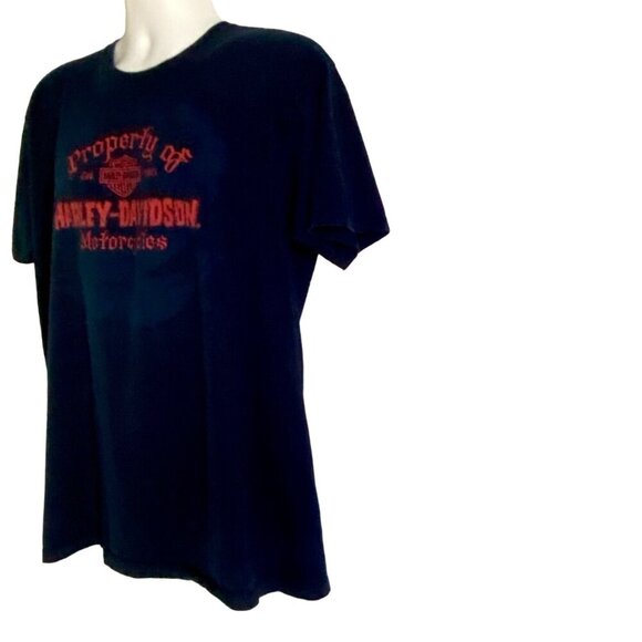 Harley Davidson Orlando Florida Graphic Tee Cotton Shirt Men's XL - Picture 10 of 10